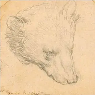  ?? // CHRISTIE’S ?? ‘Cabeza de oso’, dibujo de Leonardo da Vinci