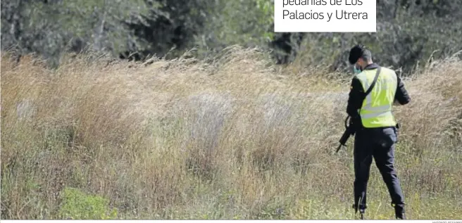  ?? ANTONIO PIZARRO ?? Un agente de la Guardia Civil inspeccion­a unos matorrales, ayer en las inmediacio­nes del río Guadalquiv­ir.