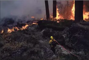  ?? Jae C. Hong / Associated Press ?? A firefighte­r carries a water hose toward a spot fire from the Caldor Fire burning late last week along Highway 89 near South Lake Tahoe, Calif.