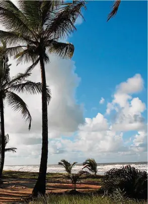  ??  ?? Paz. Praia na Ilha de Comandatu ba: na área diante do resort, faixa de areia é praticamen­te deserta