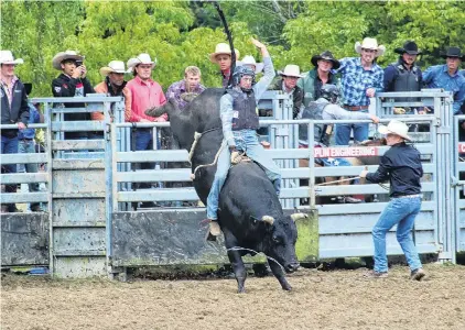  ?? PHOTOS: JACK CONROY ?? Long way down . . . Second division bull ride champion Darryl McPherson, of Putaruru, gets off to a bumpy start.