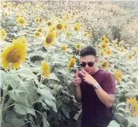  ??  ?? Don't miss an instagram-worthy snapshot with the sunflowers in full bloom.Photo: Paul Randel IG: @pavlarvelo