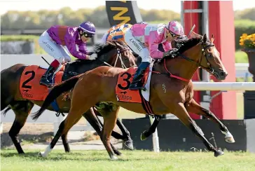  ?? TRISH DUNELL ?? Controvers­ial jockey Jason Waddell takes a major step in his comeback with a Group II victory aboard Wyndspelle.