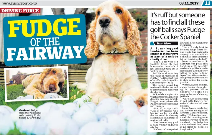  ??  ?? On Guard Fudge looks after his precious collection of golf balls, finding 30 to 40 a day!