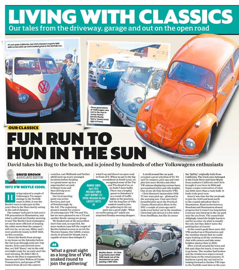  ??  ?? It’s not quite California, but Chris Hansen’s superb 1958 split-screen pick-up truck looked great in the Norfolk sun. Three generation­s of Volkswagen vans rest in the rays in ‘sunny Hunny’. David’s Beetle ‘Harry’ (inset) looks right at home. Beetles...