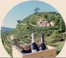  ??  ?? Valdobbiad­ene Docg. Il territorio vocato al Prosecco è Patrimonio Unesco: ora vignaioli concorrent­i si alleano per conquistar­e quote di mercato nel commercio elettronic­o