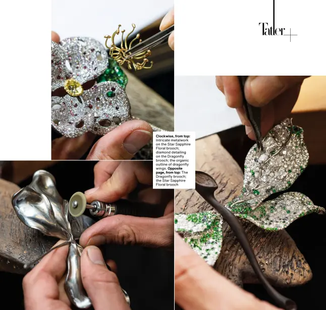  ?? Clockwise, from top: Intricate metalwork on the Star Sapphire Floral brooch; diamond detailing on the Dragonfly brooch; the organic outline of dragonfly wings. Opposite page, from top: The Dragonfly brooch; the Star Sapphire Floral brooch ??