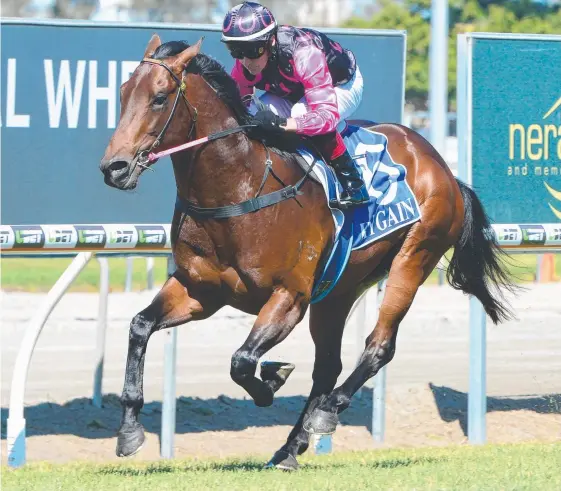  ?? Picture: AAP IMAGE/TRACKSIDE PHOTOGRAPH­Y ?? First starter Fuji Flyer cruises home under the riding of Jeff Lloyd at the Gold Coast.