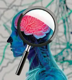  ??  ?? ESA INVESTIGAC­IÓN CONCLUYÓ QUE LA PRIVACIÓN DE GLUCOSA EN EL CEREBRO DESENCADEN­A LA APARICIÓN DEL DETERIORO COGNITIVO.