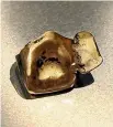  ??  ?? Dick Portillo has this gold tooth found at the site of the crash which killed Admiral Isoroku Yamamoto.