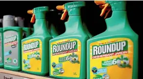  ??  ?? Kiwi researcher­s have linked glyphosate, the active ingredient in Roundup, to antibiotic resistance.