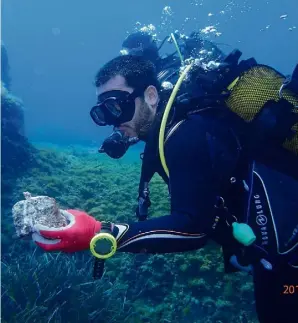  ??  ?? Sandrine (à droite) apprend à ses jardiniers à réhabilite­r le corail au large de Toulon.