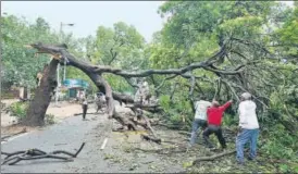  ?? VIPIN KUMAR/HT PHOTO ?? People try to clear a tree on Vishnu Digamber Marg, Rouse Avenue Lane, on Friday.