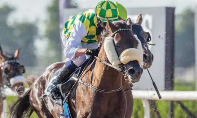  ??  ?? ↑
Jim Crowley rides Jawaal to victory at the Ruler of Sharjah Cup on Saturday.