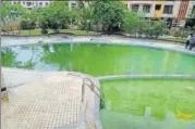  ?? HT PHOTO ?? The pool had not been used for six months and was flooded with rain water, said residents.