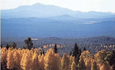  ?? ELI IMADALI/THE REPUBLIC ?? Golden aspen trees dot the landscape below Arizona Snowbowl in the San Francisco Peaks near Flagstaff in October.