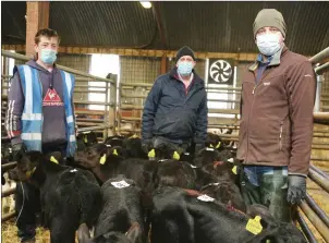  ??  ?? Buyer Mark Hallissey from Killarney pictured with Kanturk Mart staff members Aidan Murphy and John O’ Connell, ‘keeping the show going’ last Tuesday.
