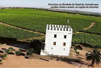  ??  ?? Parreiras na Herdade do Esporão, fazenda que produz vinho e azeite, na região do Alentejo