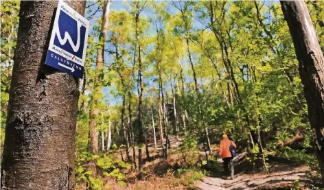  ?? FOTO: NATURPARK SCHWALM-NETTE ?? Der 11,2 Kilometer lange Wanderweg durchs Galgenvenn gehört zu den Premium-Wanderwege­n des Naturparks Schwalm-Nette.