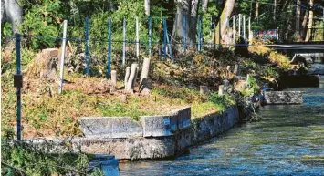  ?? Foto: Bernd Hohlen ?? Am Eiskanal laufen umfangreic­he Waldarbeit­en mit Baumfällun­gen. Dafür gibt es Gründe.