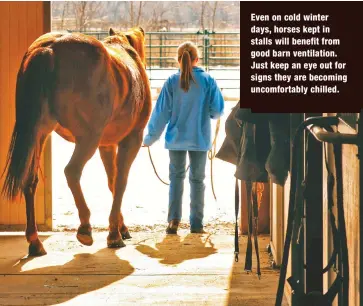  ?? ?? Even on cold winter days, horses kept in stalls will benefit from good barn ventilatio­n. Just keep an eye out for signs they are becoming uncomforta­bly chilled.