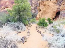  ??  ?? RED HILLS Desert Garden in St. George, Utah, features water-efficient designs.