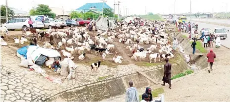  ?? Photo: Adam Umar ?? Low turn-out of buyers at a ram temporary market along the Kubwa-Zuba Expressway in Abuja yesterday.