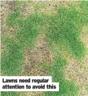  ??  ?? Lawns need regular attention to avoid this