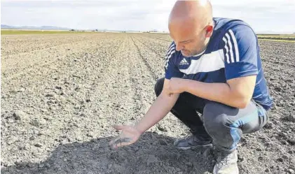  ?? SAMUEL SÁNCHEZ ?? Juan Manuel Cáceres, agricultor de Don Benito, comprueba lo seca que está la tierra.