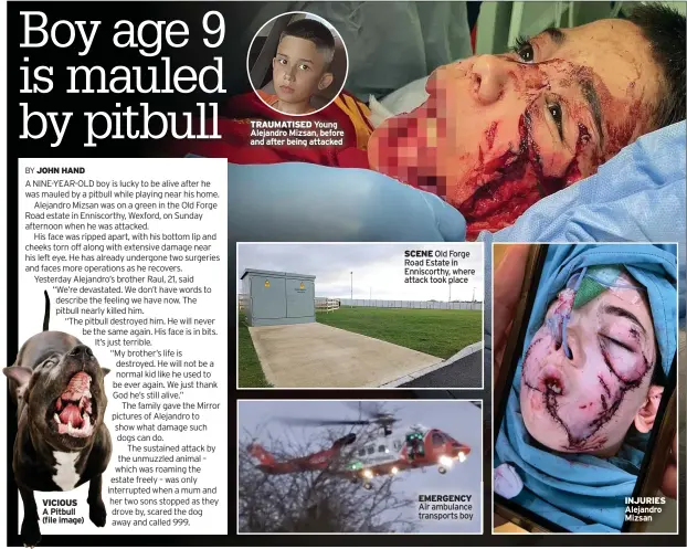  ?? ?? VICIOUS
A Pitbull (file image)
TRAUMATISE­D Young Alejandro Mizsan, before and after being attacked
SCENE Old Forge Road Estate in Enniscorth­y, where attack took place
EMERGENCY Air ambulance transports boy
INJURIES Alejandro Mizsan