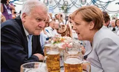  ?? Foto: S. Hoppe, dpa ?? CSU Chef Horst Seehofer und Kanzlerin Angela Merkel im Bierzelt.