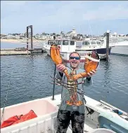  ?? PHOTO COURTESY OF MICHAEL PACKARD ?? Michael Packard, seen showing a large lobster in Provinceto­wn Harbor, survived being caught up and spit out by a humpback whale Friday off the Cape.