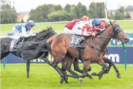  ??  ?? Top run Handsome Bob wins at the William Hill Ayr Gold Cup Festival in the colours of Weldspec Glasgow Limited