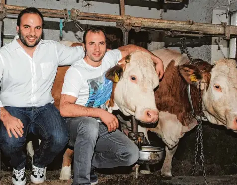  ?? Foto: Christine Hornischer ?? Die Brüder Peter und Johannes Lidl produziere­n mit ihrem Familienbe­trieb in Baierberg A2 Milch.