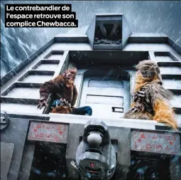  ??  ?? Le contreband­ier de l’espace retrouve son complice Chewbacca.