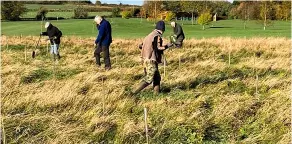  ?? ?? Trees being planted at Kingsdown Golf Course