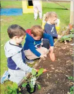  ?? PICTURE / SUPPLIED ?? It’s never to early to learn about the joy, and benefits, of growing stuff.