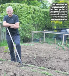  ?? PETER MORRISON/BBC ?? Jim Kerr with his vegetable patch in his front garden in Dungannon. Below, the transforma­tion
of his front lawn