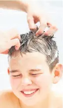  ??  ?? Use conditione­r to make it easier to remove the head lice, pictured below