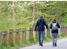  ?? FOTO: HENNING KAISER/DPA ?? Bereits zügige Spaziergän­ge und Wanderunge­n helfen, den Körper und auch den Geist bis ins hohe Alter gesund zu halten. Mit körperlich­er Aktivität zu beginnen, zahlt sich sogar noch für Senioren aus aus.
