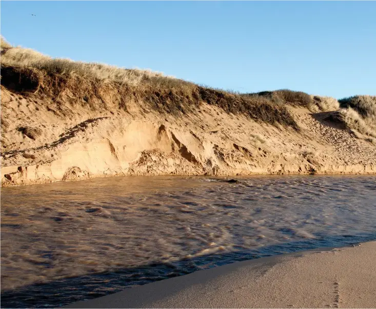  ??  ?? Skarpa raskanter visar hur bäcken har börjat urholka en av de stora sanddynern­a.