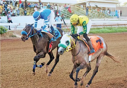  ?? ANTHONY MINOTT ?? Devonte (right), ridden by Tevin Foster, wins the John Clifton Wright Memorial Cup ahead of Last Bid, with Reyan Lewis aboard, at Caymanas Park in St Catherine yesterday.