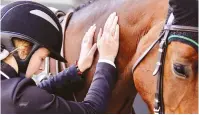  ?? Picture ?? CONNECTION . . . Zimbabwe’s show jumper Brianagh Clark puts her hands on her Youth Olympic Games horse El Roblecito Malaika to build chemistry between the two of them-