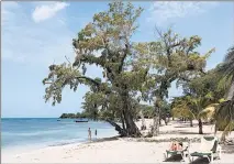  ?? DANIEL SLIM/GETTY-AFP ?? Tourists relax under a tree on Negril beach in Jamacia on May 20, 2017.