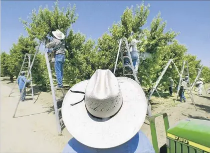  ?? Damian Dovarganes Associated Press ?? E PA’s decision favors farmers who use the pesticide and companies that sell it. But there’s good evidence that it’s harmful.