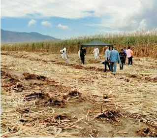  ?? /CORTESÍA ?? De las 12 fosas encontrada­s, seis fueron ubicadas en Xalisco y las otras seis en San Blas