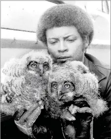  ?? Photo courtesy of Gloria Howell ?? Macy Butler shows two baby owls that he rescued from a bluff in Bella Vista after they were abandoned by their mother.