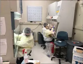  ?? M. STONE — CONTRIBUTE­D ?? The UCSC Molecular Diagnostic Lab is testing for coronaviru­s infections with an initial capacity of 30-40 tests per day. Pictured working in the lab are doctoral student Jolene Draper, left, and project scientist Namrita Dhillon.