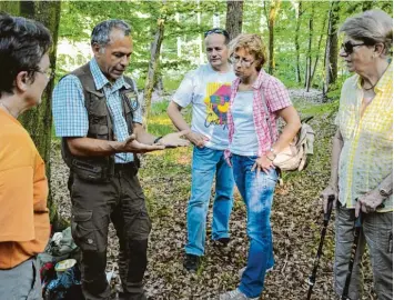  ?? Foto: Leonie Steinhardt ?? Förster Rolf Banholzer führt durch den Derchinger Forst.