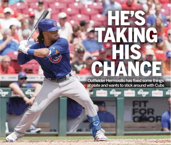  ?? JEFF DEAN/AP ?? Outfielder Michael Hermosillo (above) would like to emulate the success Patrick Wisdom and Rafael Ortega are having with the Cubs this season.